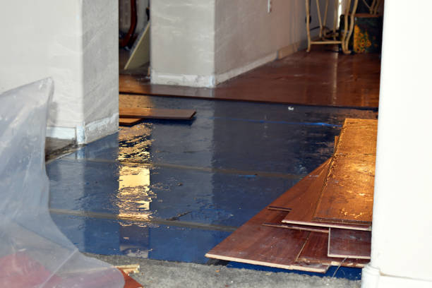 Professional Water Damage technician working in Cross River, NY